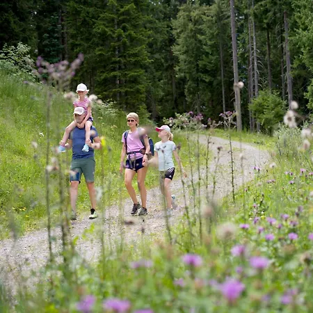 Alpine With View & Garden Дом отдыха *