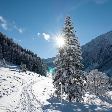 Alpine With View & Garden * Oberau